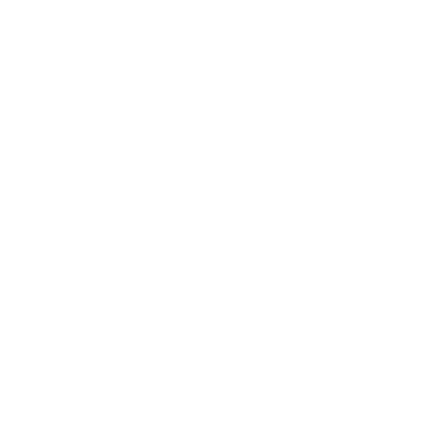 ZIX Hybrid Evolution